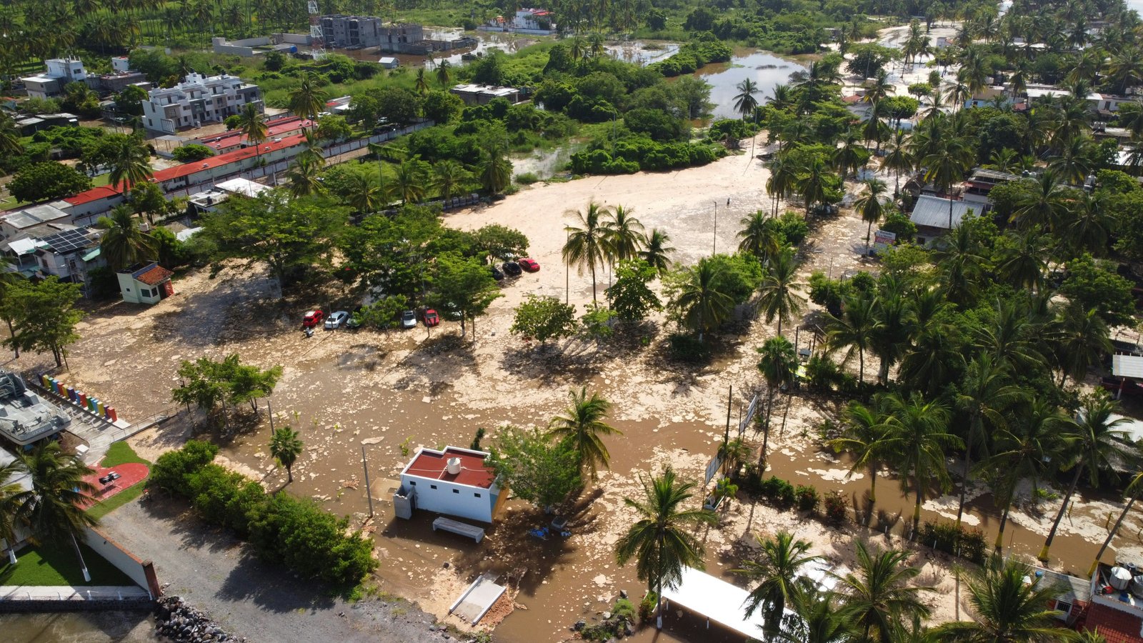 Disaster Management & Climate Resilience
