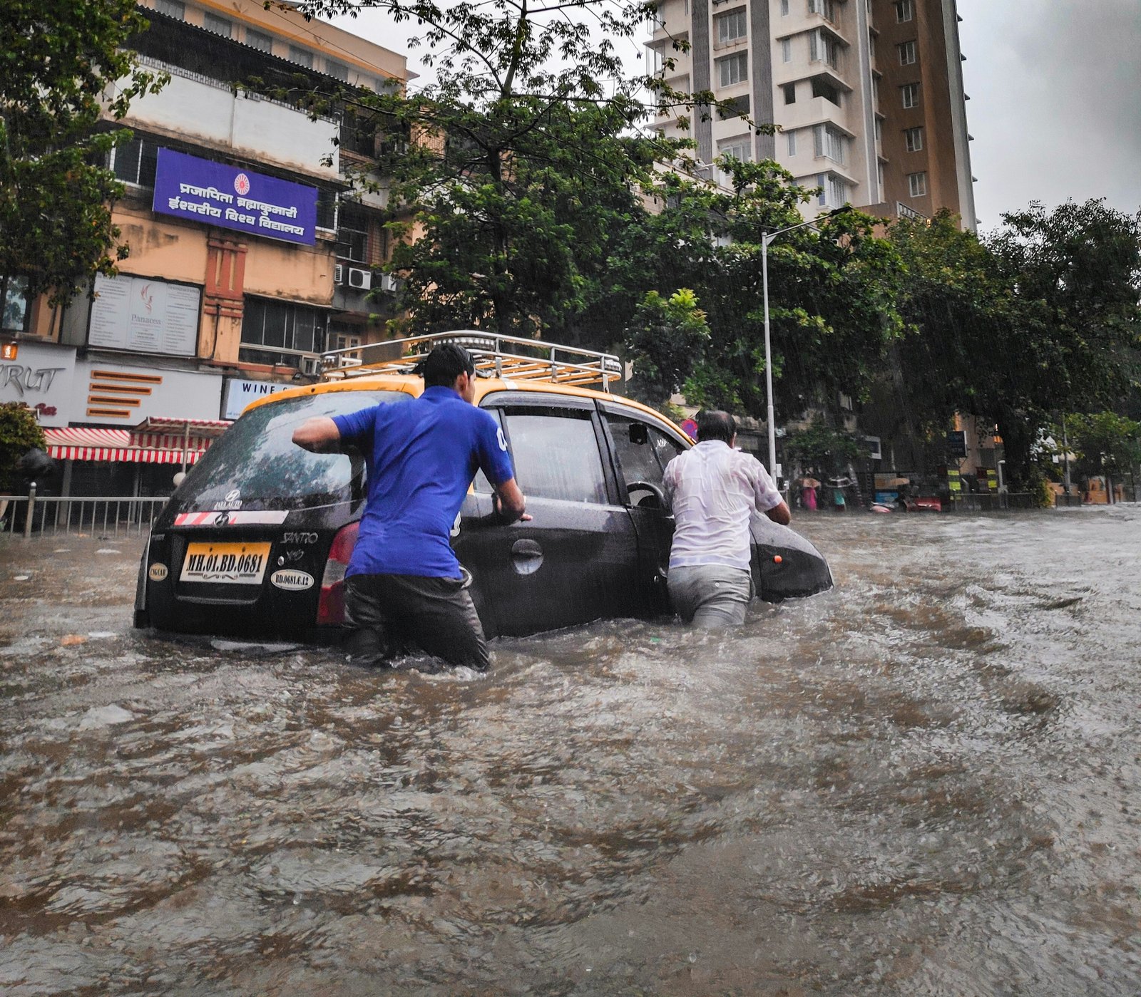 Standing Strong Against the Floods